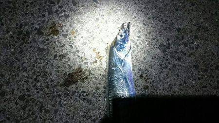 寄り道刀狩り！