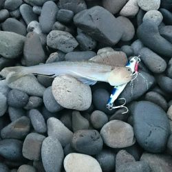 和歌山ランガン