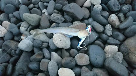 和歌山ランガン