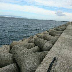 タチウオハンター