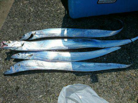 13時間の戦いの末！