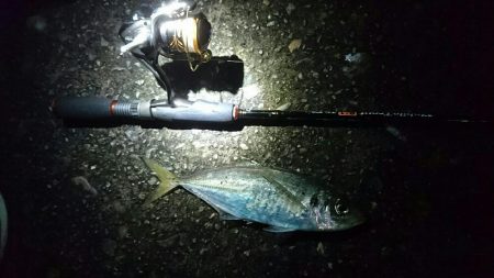 台風前のアジング