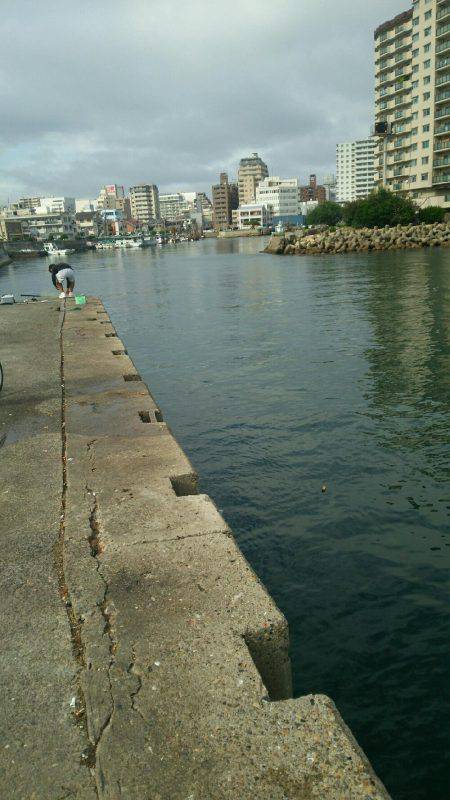 デイライトゲーム。