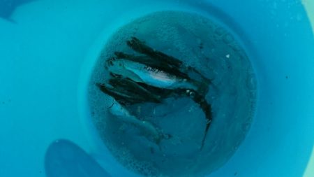 実は引っ越しました