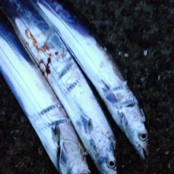 台風が来る前に