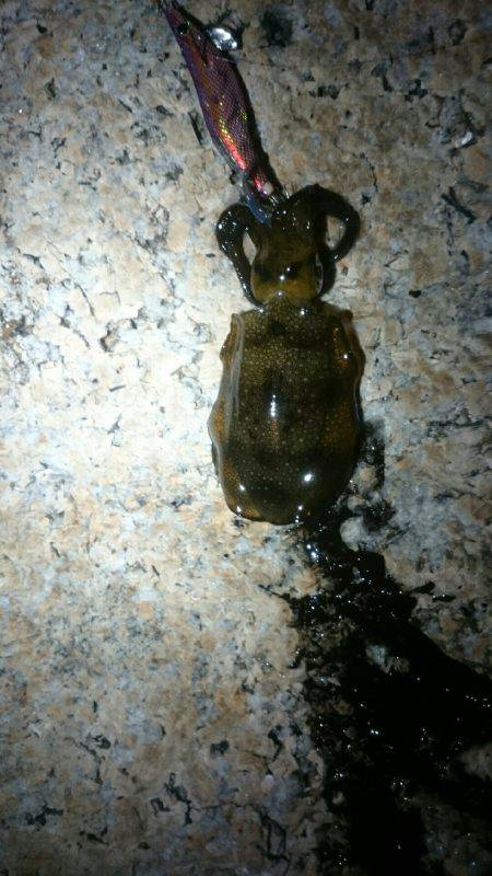 キープサイズが…