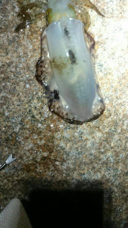 キープでけた。