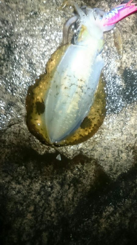 オールリリース