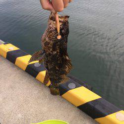 エギング、ジギングからの