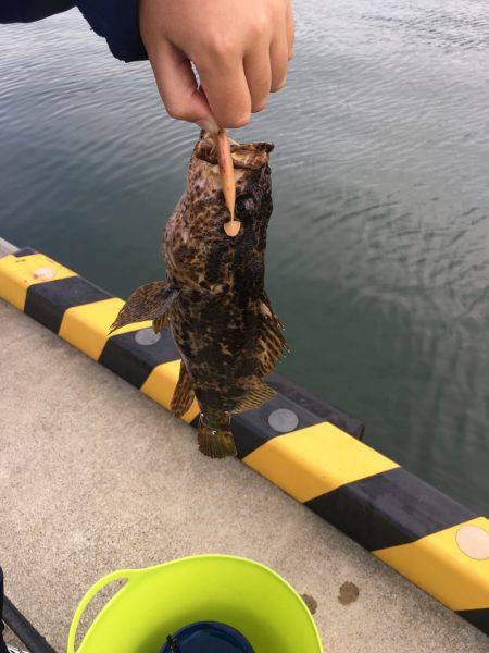 エギング、ジギングからの