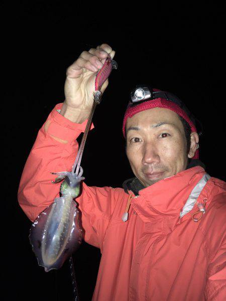 アオリイカゲームとタチウオゲーム