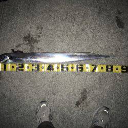 サゴシとタチウオ96cm