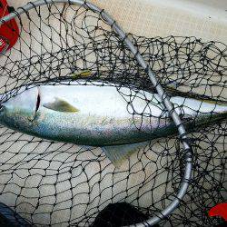 キャストゲーム