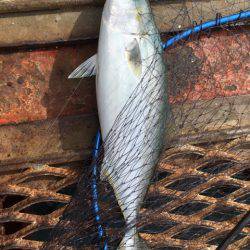 日曜日に娘と二人で…