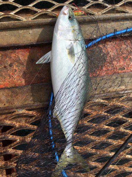 日曜日に娘と二人で…