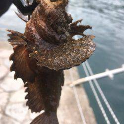 有言実行・・・