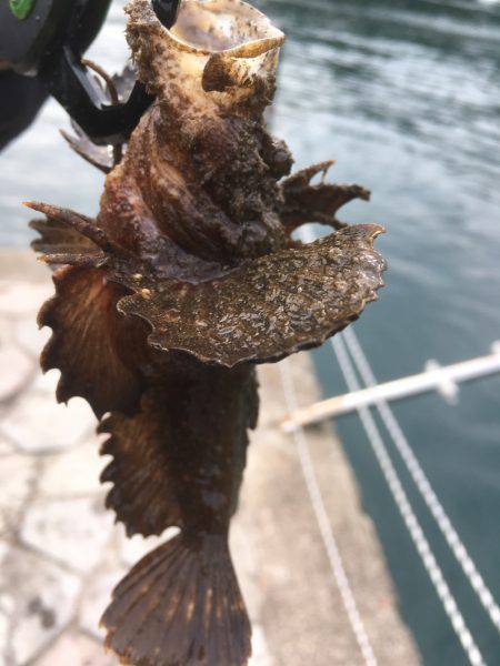 有言実行・・・