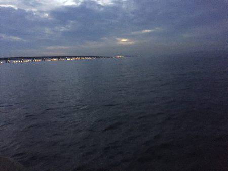 アジのち太刀魚