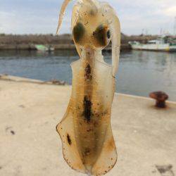 合わせがキツすぎ！？