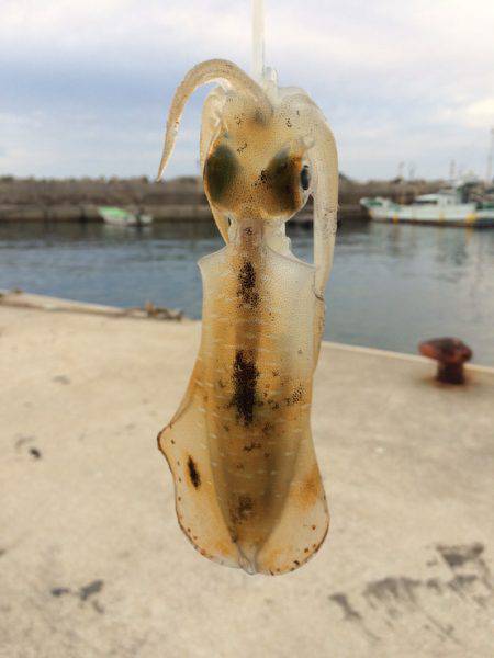 合わせがキツすぎ！？