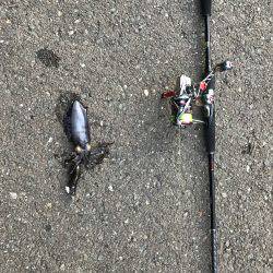 サイトで釣れましたー