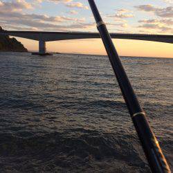 五目釣りならず