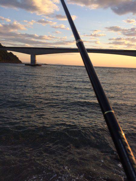 五目釣りならず