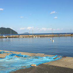 スレています。