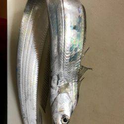 ライトショアジギング