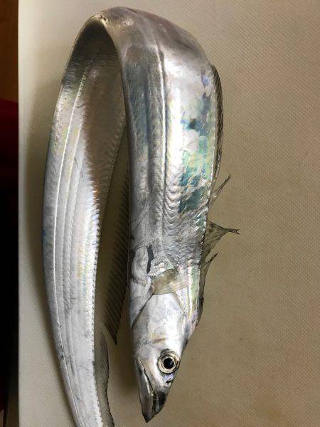 ライトショアジギング