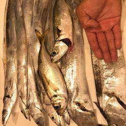 神戸ポートアイランドタチウオ