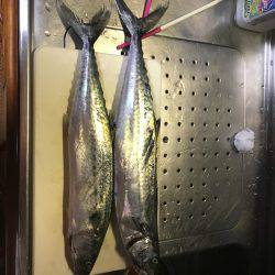 潮動かず中々厳しい武庫一でした