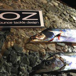 渋い、昨日の雨の影響かな？