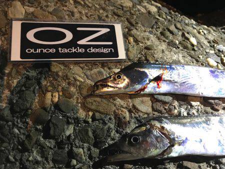 渋い、昨日の雨の影響かな？