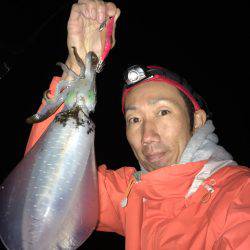 アオリイカ☆ハモ！？タチウオゲーム