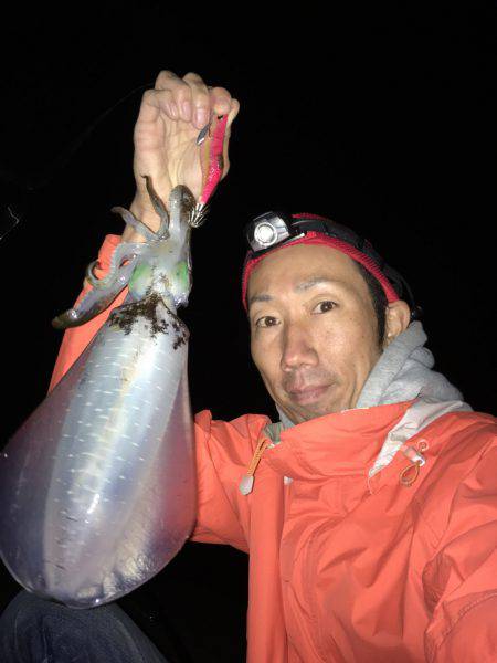 アオリイカ☆ハモ！？タチウオゲーム