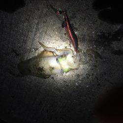 大潮、満月❗️