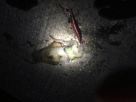 大潮、満月❗️