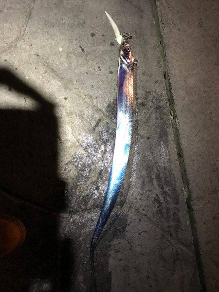 なかなか渋め…。