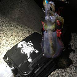 僕には難しかった。