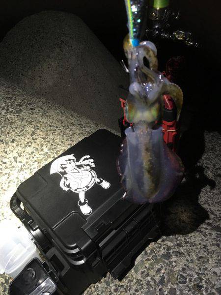 僕には難しかった。