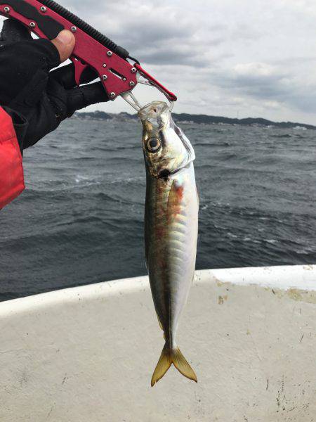 ボートで五目釣り！