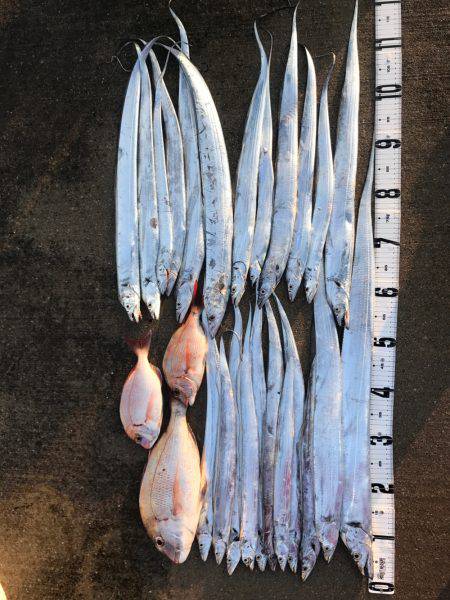 タチウオジギング  鯛ラバ