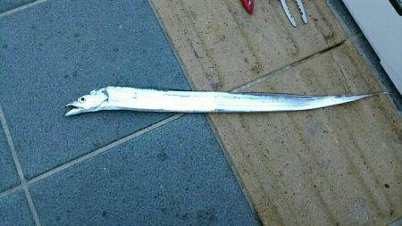 とりあえずの一本