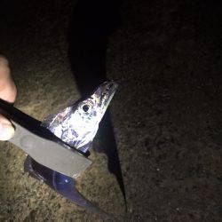 バラシまくり。