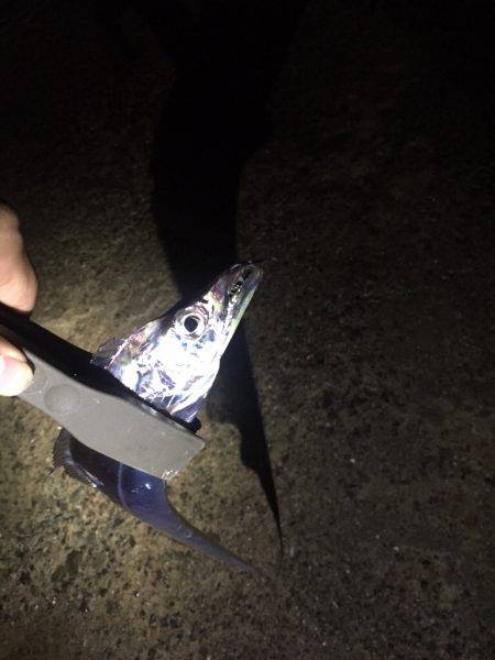 バラシまくり。