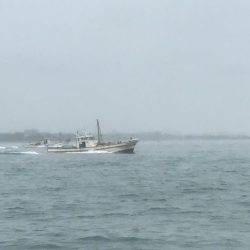 一年ぶりのハマチ狙い