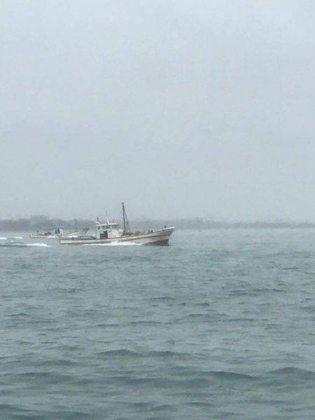 一年ぶりのハマチ狙い