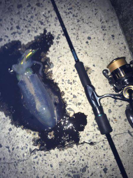 まったりエギング