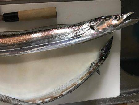 ジグでタチウオ